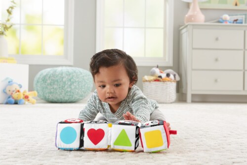 fisher price fun to flip soft blocks