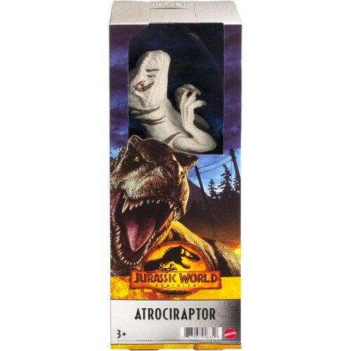 Jurassic World Dominion 12 Grey Atrociraptor Dinosaur Action Figure Perspective: back