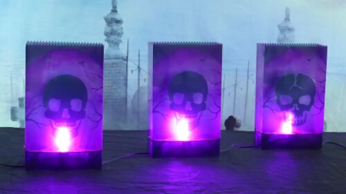 Holiday Home LED PVC Luminary Skulls - Purple Perspective: back