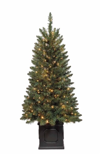 Holiday Home Beaufort Fir Potted Tree with Color Changing Cluster LED Lights Perspective: back
