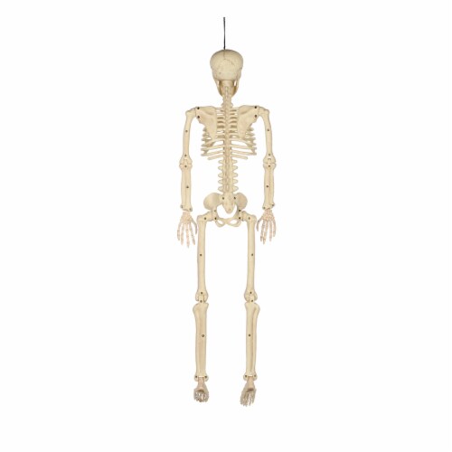 Holiday Home Poseable Skeleton - White Perspective: back