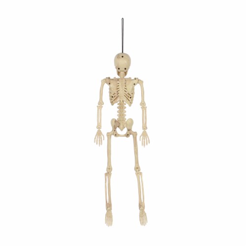 Holiday Home 15.5" Hanging Skeleton Halloween Decor Perspective: back