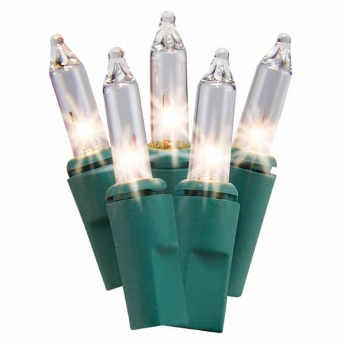 Holiday Home® Green Wire Warm White Mini LED Christmas Lights Perspective: back