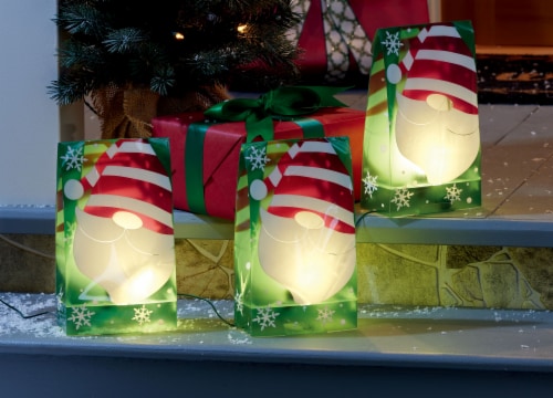 Holiday Home® LED Gnome Luminary Lights Perspective: back
