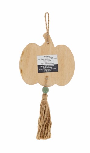 Holiday Home Harvest Wooden Pumpkin Fall Hanging Decor Perspective: back