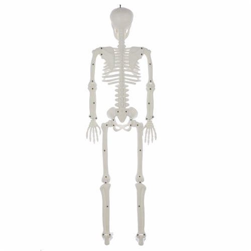 Holiday Home Blacklight Skeleton White Perspective: back