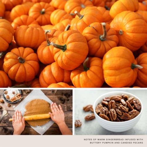 Holiday Home Tin Candle Heirloom Pumpkin Perspective: back