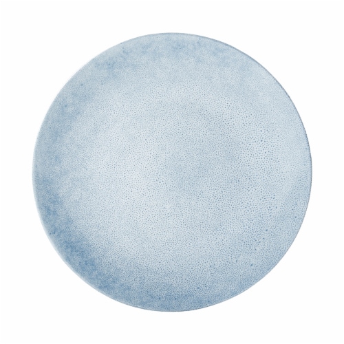 Tabletops Unlimited Dash of That® Melamine Dinner Plate - Blue Perspective: back
