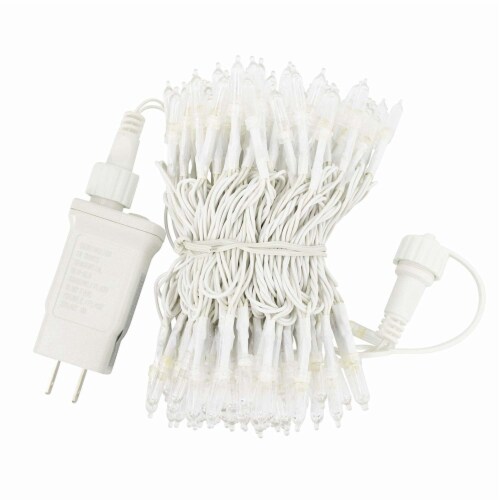 ProductWorks 8-Function Mini Bulb LED Light String, Cool White, 60-Feet Perspective: back
