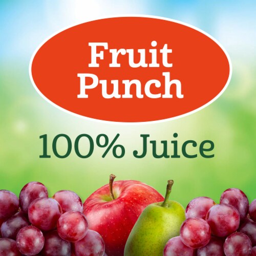 Juicy Juice® Fruit Punch 100% Juice Perspective: back