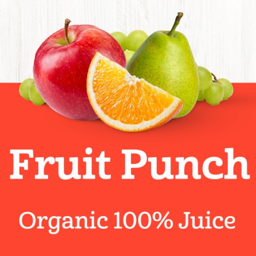 Juicy Juice Organics Fruit Punch 100% Organic Juice Perspective: back