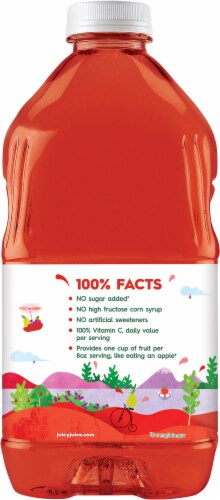 Juicy Juice® No Sugar Added 100% Fruit Punch Perspective: back
