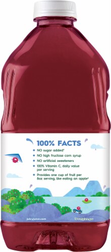 Juicy Juice Berry Juice 100% Fruit Juice Perspective: back