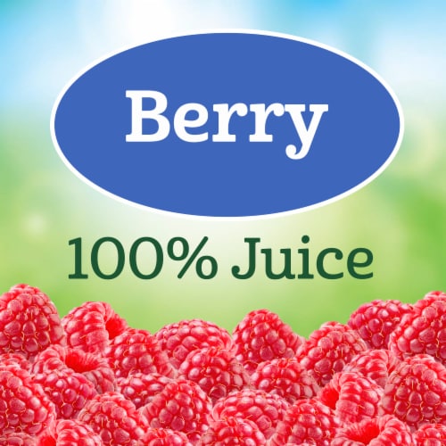 Juicy Juice Berry Juice 100% Fruit Juice Perspective: back