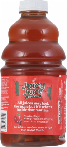 Juicy Juice Fruit Punch 100% Juice Perspective: back