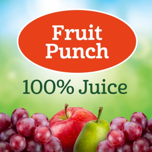 Juicy Juice® Fruit Punch 100% Juice Perspective: back