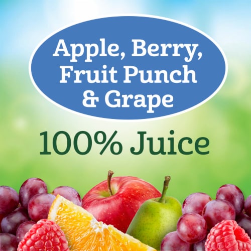Juicy Juice Fruit Juice Boxes Variety Pack 100% Juice Perspective: back