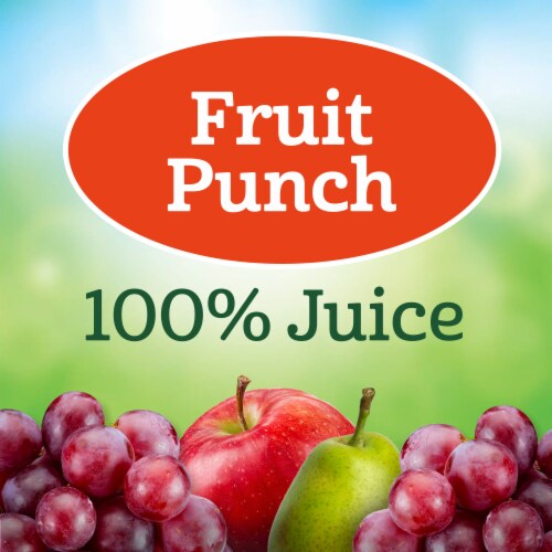 Juicy Juice® Fruit Punch 100% Juice Perspective: back