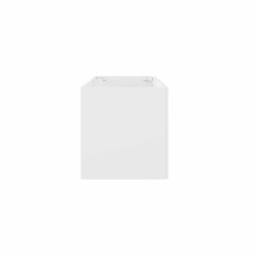 Vitality 48 Bathroom Vanity Cabinet (Sink Basin Not Included), White Perspective: back