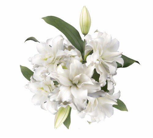 White Lily Combo 5 Stems Perspective: back