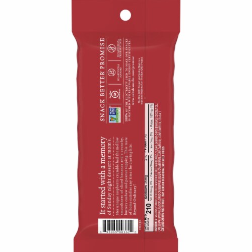 SAHALE Snacks® Raspberry Crumble Cashew Trail Mix Perspective: back