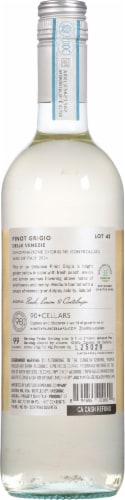 90 + Cellars Lot 42 Pinot Grigio Italy White Wine Perspective: back