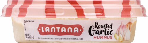 Lantana™ Roasted Garlic Hummus Perspective: back