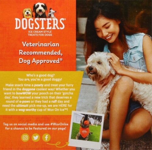 Dogsters Paw-Some Pumpkin Flavor Ice Cream Style Treats For Dogs Perspective: back