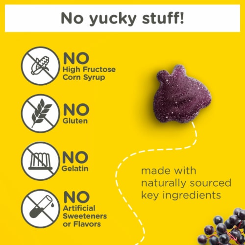 Zarbee's Children's Daily Immune Support Elderberry Gummies Perspective: back