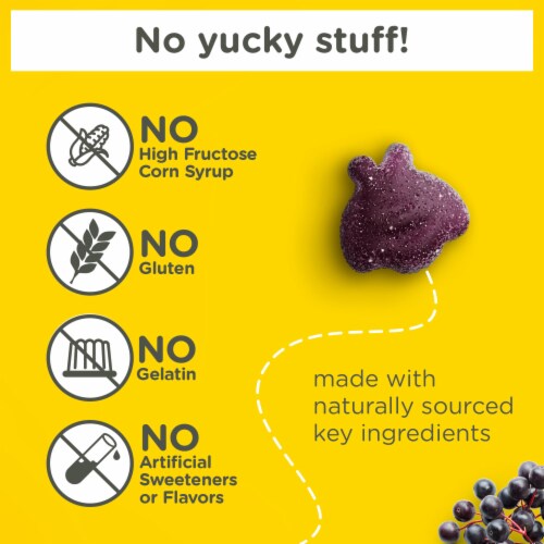 Zarbee's Children's Daily Immune Support Elderberry Gummies Perspective: back