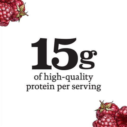 siggi’s Raspberry Icelandic-Style Nonfat Yogurt, 5.3 oz Perspective: back