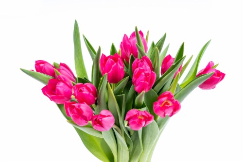 Fresh Cut Tulips Perspective: back