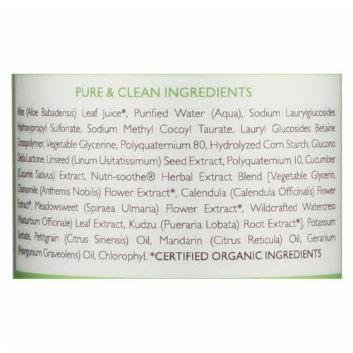 Babo Botanicals Swim & Sport Shampoo & Wash (For Swim, Sun, Active Play) 473ml/16oz Perspective: back