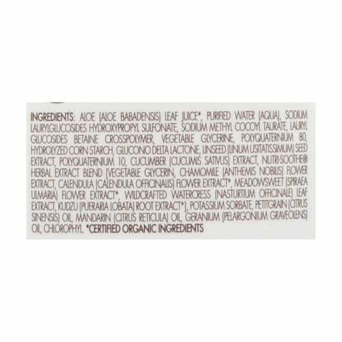 Babo Botanicals Swim & Sport Cucumber & Aloe Vera Shampoo & Body Wash Perspective: back