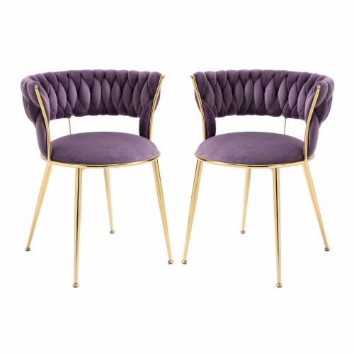 Accent Chairs in Velvet for Home or Office Use Perspective: back