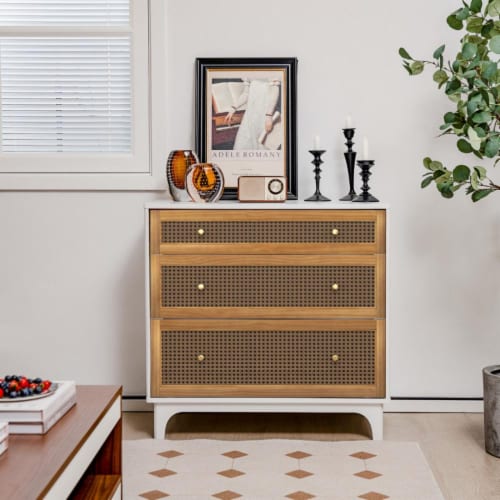 Hivvago 3-Drawer Rattan Dresser Chest with Anti-toppling Device-Brown Perspective: back