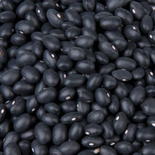 Dried Black Beans - 8oz Perspective: back