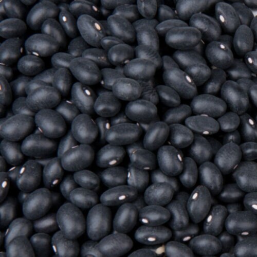 Dried Black Beans - 2 Lbs Perspective: back