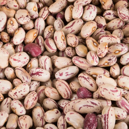 Dried Cranberry Beans - 15 oz Perspective: back