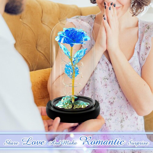 Enchanting Single Rose In A Glass Dome with Lights 1 King Soopers