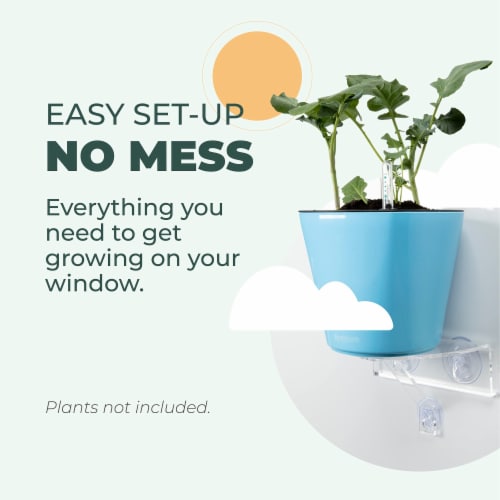 Window Garden Window Shelf & Watering Planter Bundle - Veg Ledge & Aquaphoric Kit Perspective: back