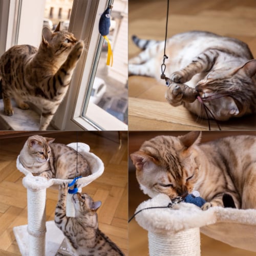 Big deals cat toys