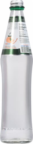The Well Sparkling Natural Mineral Bottled Water Perspective: back