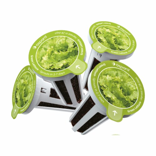 aspara Green Lettuce Seed Capsules Perspective: back