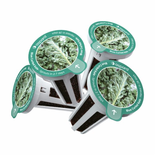 Aspara Blue Curled Kale Seed Capsule Kit Perspective: back