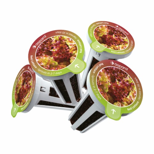 aspara Red Lettuce Seed Capsules Perspective: back