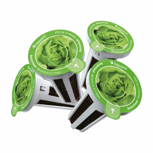 aspara Butterhead Lettuce Seed Capsules Perspective: back