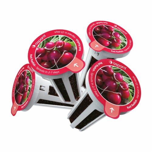 aspara Red Radish Seed Capsules Perspective: back