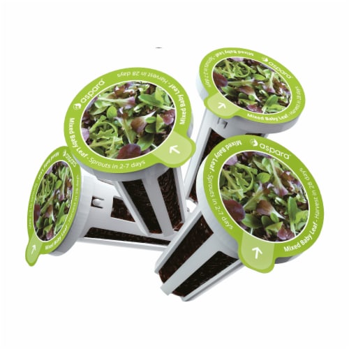 Aspara Mixed Baby Leaf Seed Capsule Kit Perspective: back