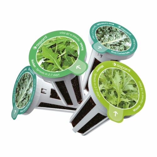 aspara Salad Special Seed Capsules Perspective: back